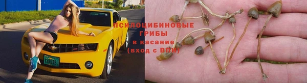 mdpv Белоозёрский