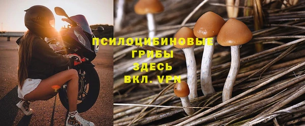 ECSTASY Белокуриха