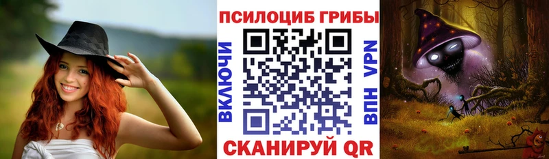 Галлюциногенные грибы Psilocybine cubensis  Купить где  Белинский 